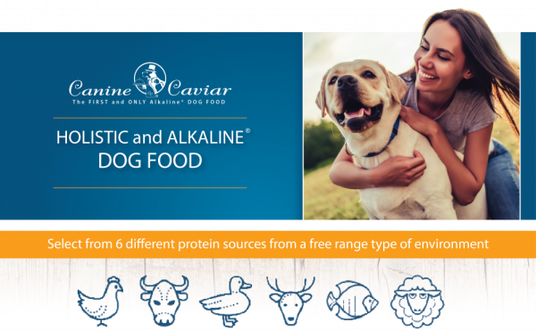 Canine Caviar Free Spirit Holistic Alkaline Entree Dry Dog Food Online