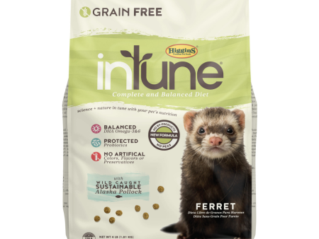 Higgins inTune Ferret Food For Cheap