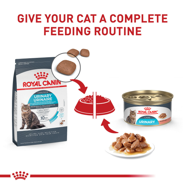 Royal Canin Feline Care Nutrition Urinary Care Dry Cat Food Online