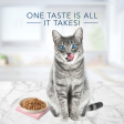 Blue Buffalo Tastefuls Adult Tender Morsels Tuna Entree in a Savory Sauce Wet Cat Food Fashion