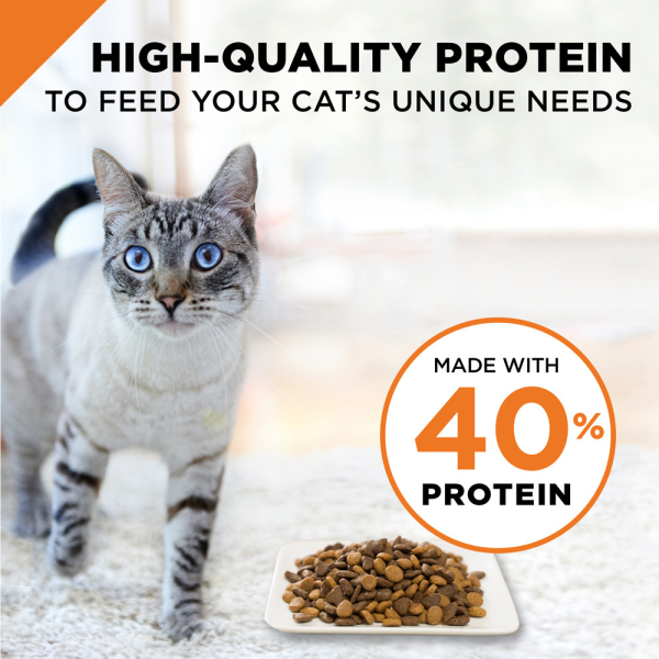 Purina Pro Plan Savor Chicken & Rice Formula Dry Cat Food Hot on Sale