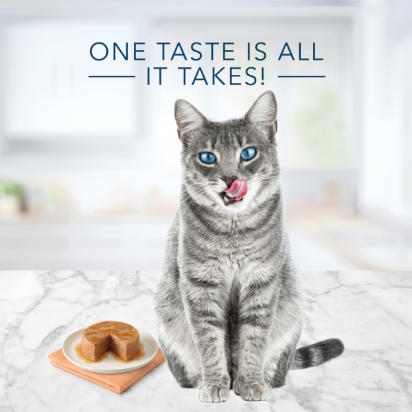 Blue Buffalo Tastefuls Adult Pate Ocean Fish & Tuna Entree Wet Cat Food Online now