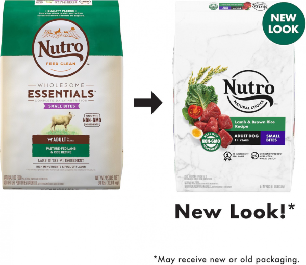 Nutro Wholesome Essentials Small Bites Adult Pasture-Fed Lamb & Rice Dry Dog Food Online Sale