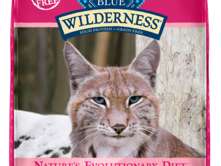 Blue Buffalo Wilderness High-Protein Grain-Free Adult Salmon Recipe Dry Cat Food Sale