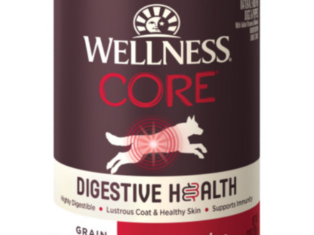 Wellness Core Digestive Health Grain Free Beef Recipe Canned Dog Food For Cheap