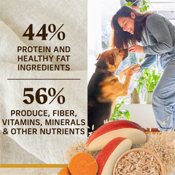 Merrick Healthy Grains Premium Adult Dry Dog Food Wholesome And Natural Kibble With Chicken And Brown Rice Online now