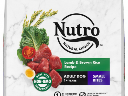 Nutro Wholesome Essentials Small Bites Adult Pasture-Fed Lamb & Rice Dry Dog Food Online Sale