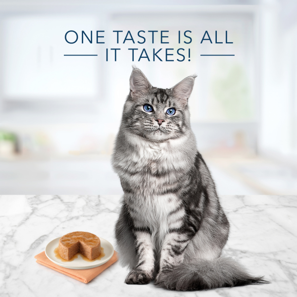 Blue Buffalo Tastefuls Chicken Pate Entree for Mature Cats Wet Cat Food For Sale