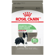 Royal Canin Medium Breed Digestive Care Dry Dog Food Online Hot Sale