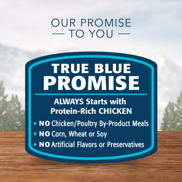 Blue Buffalo Wilderness High-Protein Grain-Free Turkey & Chicken Grill Senior Canned Dog Food Online Hot Sale