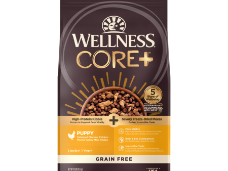 Wellness CORE RawRev Wholesome Grains Puppy Recipe Dry Dog Food on Sale