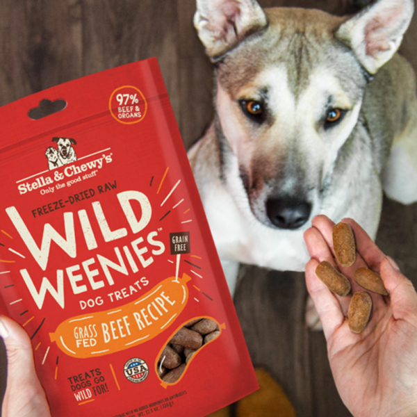 Stella & Chewy s Wild Weenies Grain Free Beef Recipe Freeze Dried Raw Dog Treats Sale