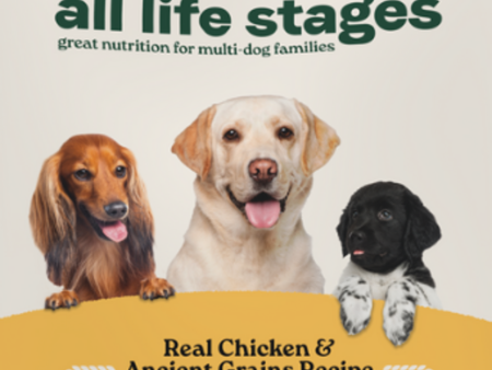 Canidae All Life Stages Chicken Meal and Rice Dog Food For Discount