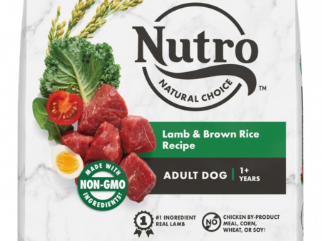 Nutro Wholesome Essentials Adult Pasture-Fed Lamb & Rice Dry Dog Food Hot on Sale