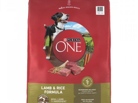 Purina ONE SmartBlend Lamb & Rice Dry Dog Food Fashion