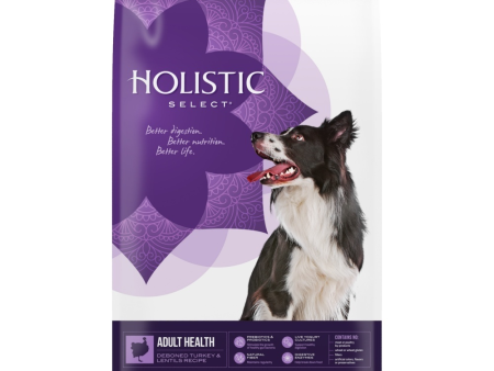 Holistic Select Natural Grain Free Adult Health Deboned Turkey and Lentils Dry Dog Food For Discount