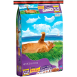 Friskies Surfin andTurfin Favorites Dry Cat Food Online Sale