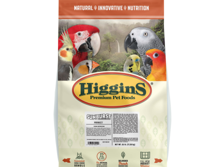 Higgins Sunburst Gourmet Blend Parakeet Bird Food Online Sale