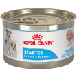 Royal Canin Size Health Nutrition Starter Mother & Babydog Mousse In Sauce Canned Dog Food For Cheap