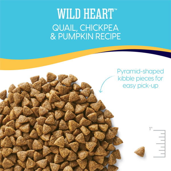 Solid Gold Wild Heart Adult Quail, Chickpeas and Pumpkin Recipe Dry Dog Food Online