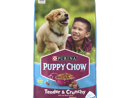 Purina Puppy Chow Tender and Crunchy Beef Recipe Dry Dog Food Online now