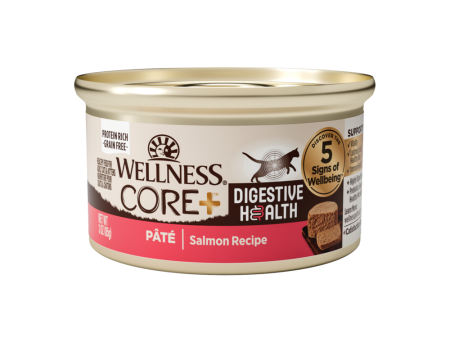 Wellness Core Digestive Health Salmon Pate Recipe Canned Cat Food Hot on Sale