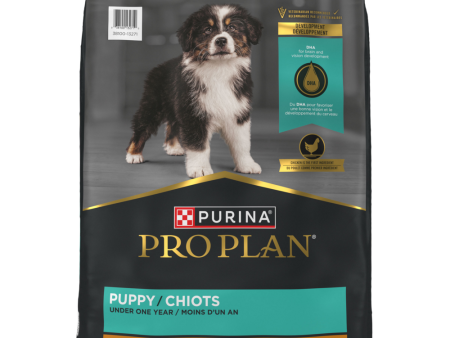 Pro Plan Puppy Chicken & Rice Formula Hot on Sale