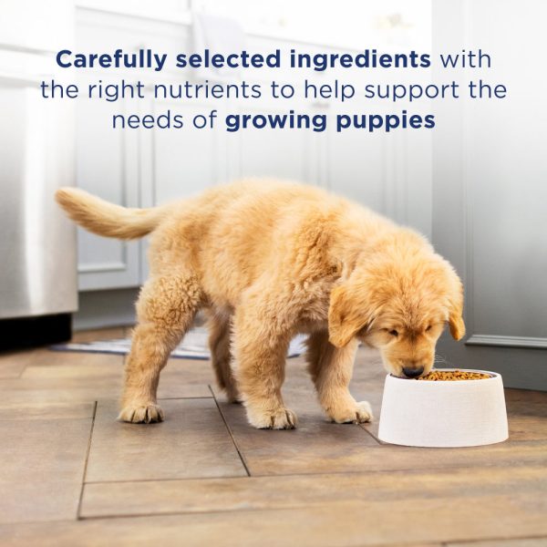 Natural Balance L.I.D. Limited Ingredient Diets Grain Free Potato and Duck Puppy Formula Dry Dog Food Online Sale