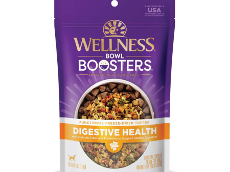 Wellness CORE Bowl Boosters Digestive Health Dry Dog Food Topper Online Sale