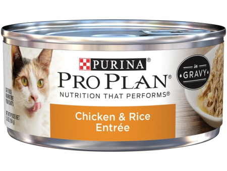 Purina Pro Plan Chicken & Rice Entree In Gravy Canned Cat Food Supply