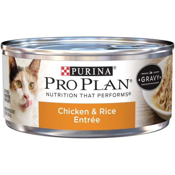 Purina Pro Plan Chicken & Rice Entree In Gravy Canned Cat Food Supply