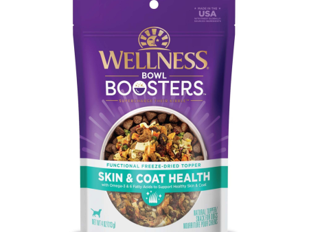 Wellness CORE Bowl Boosters Skin & Coat Dry Dog Food Topper Online Hot Sale