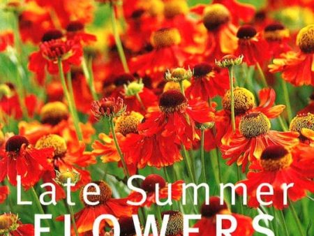 Late Summer Flowers Online