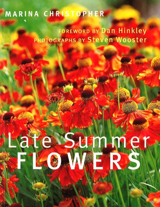 Late Summer Flowers Online