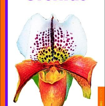 Handy Pocket Guide To Orchids Online now