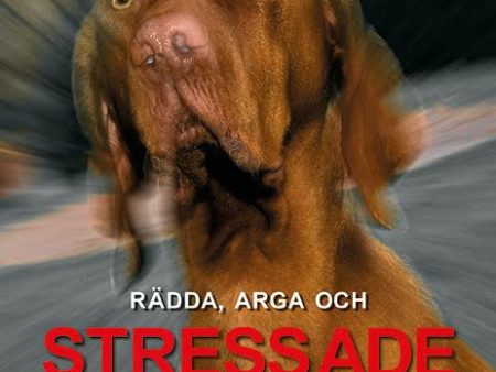 Rädda, arga och Stressade hundar Sale