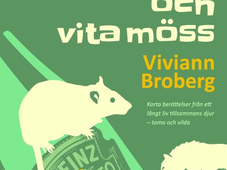 Bruna råttor och vita möss Sale