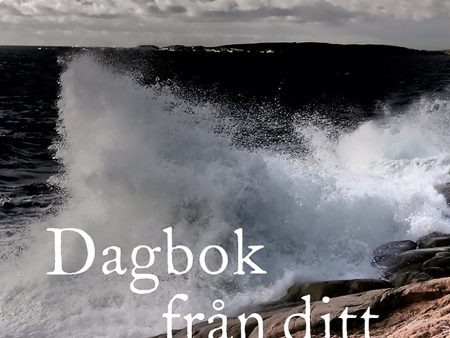 Dagbok från ditt försvinnande Online now