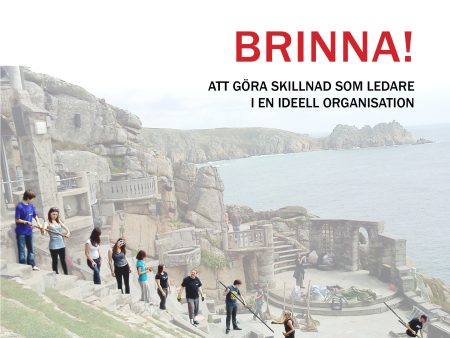 Brinna! : att göra skillnad som ledare i en ideell organisation Discount