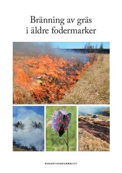 Bränning av gräs i äldre fodermarker For Cheap