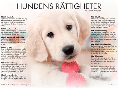 Hundens rättigheter - poster Online now