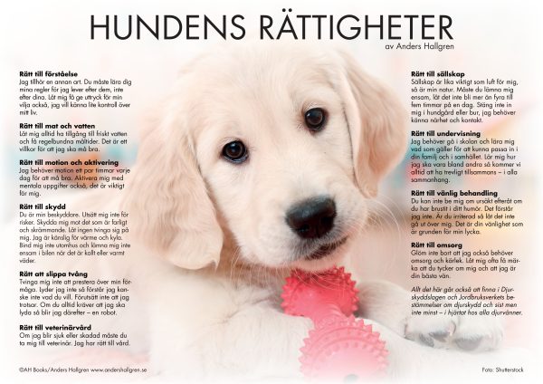 Hundens rättigheter - poster Online now