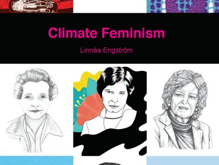 Climate feminism Discount